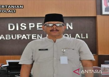 Boyolali targetkan produksi 278.021 ton GKG pada 2024