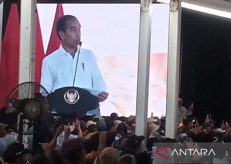 Presiden pastikan subsidi pupuk tahun 2024 ditambah Rp14 triliun