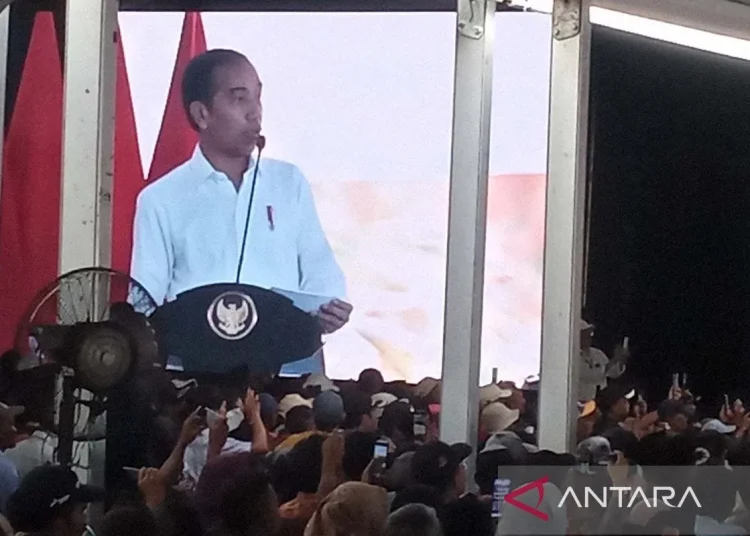 Presiden Jokowi: Subsidi Pupuk Tahun 2024 Ditambah Rp14 Triliun 1 Presiden Jokowi: Subsidi Pupuk Tahun 2024 Ditambah Rp14 Triliun
