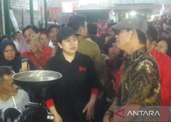 Puan Maharani dukung penambahan pupuk bersubsidi