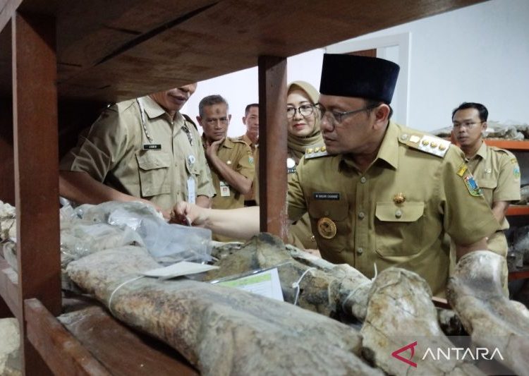 Pemkab Kudus jadikan Museum Patiayam objek wisata edukasi 1 Pemkab Kudus jadikan Museum Patiayam objek wisata edukasi