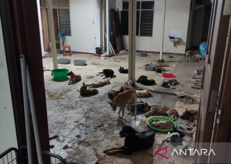 Sragen sosialisasikan larangan konsumsi daging anjing