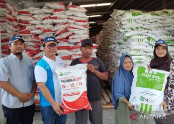 PT Pupuk Indonesia diskon pupuk hingga 40 persen