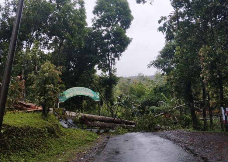 BPBD Banyumas ingatkan warga peningkatan kecepatan angin