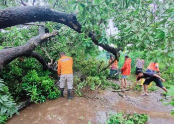 10 rumah rusak akibat angin kencang di Kudus