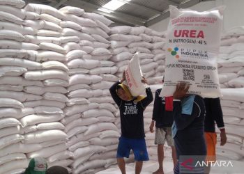 Kudus terima alokasi pupuk bersubsidi sebanyak 12.175,86 ton