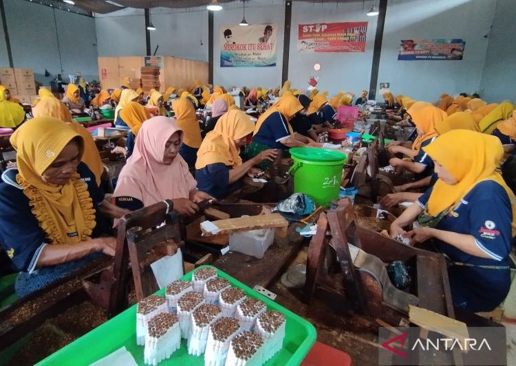 Pabrik rokok kecil Kudus tak permasalahkan kenaikan tarif cukai rokok 1 Pabrik rokok kecil Kudus tak permasalahkan kenaikan tarif cukai rokok