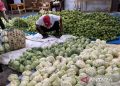 Relawan Prabowo borong sayur dari petani 11 Relawan Prabowo borong sayur dari petani