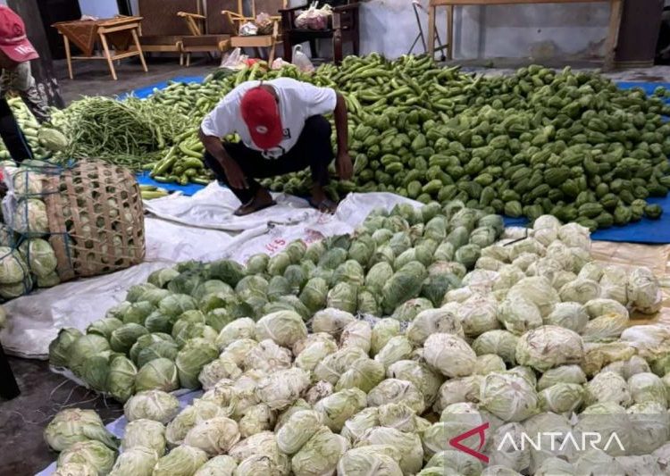 Relawan Prabowo borong sayur dari petani