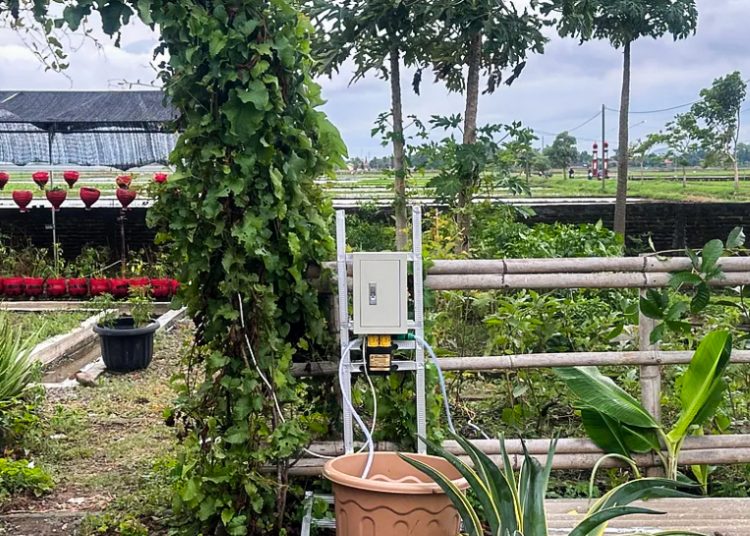 PETIS, Inovasi Mahasiswa Undip Atasi Masalah Kesuburan Tanah 1 PETIS, Inovasi Mahasiswa Undip Atasi Masalah Kesuburan Tanah