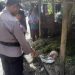 Warga Cangkringan Heboh, Ditemukan Kambing Mati Tanpa Kepala, Diduga Diserang Hewan Buas dan Liar » Warga Berita