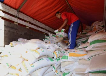 Stok Beras Aman, Masyarakat Jangan Panic Buying