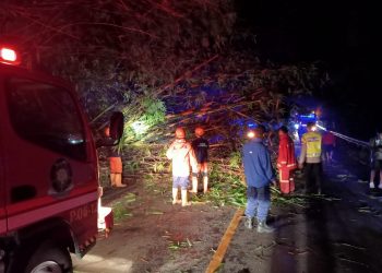 Polisi Bantu Evakuasi Pohon Bambu Tutup Akses Jalan Nasional di Kecamatan Tonjong.
