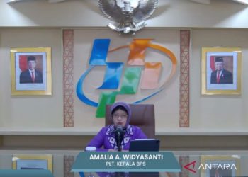 BPS: Kenaikan harga beras akibat faktor cuaca dan akses infrastruktur