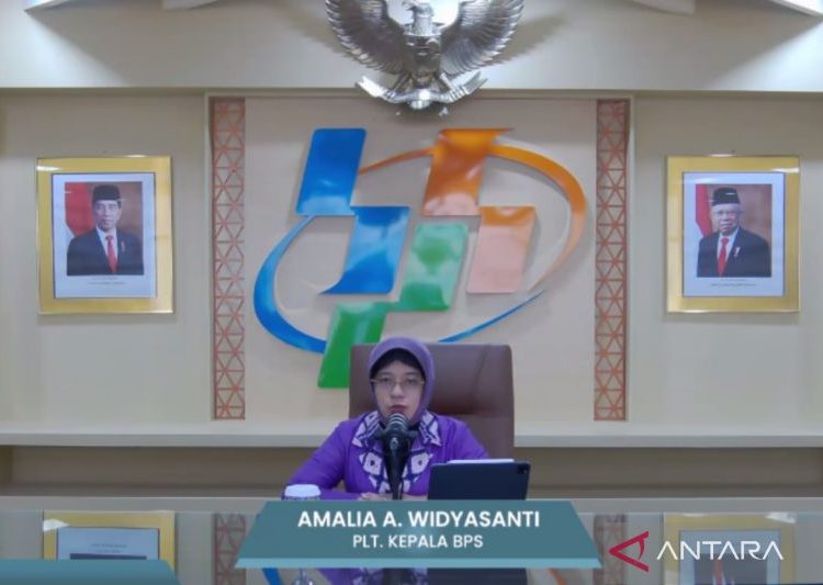 BPS: Kenaikan harga beras akibat faktor cuaca dan akses infrastruktur 1 BPS: Kenaikan harga beras akibat faktor cuaca dan akses infrastruktur