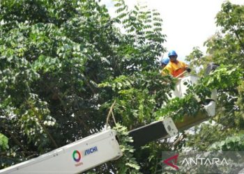 PLN Jateng DIY siaga penuh demi sukses Pemilu 2024