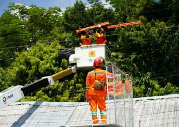 PLN minta masyarakat waspadai aktivitas dekat jaringan listrik