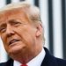 PEMILU AS -- Menang di Carolina Selatan, Peluang Trump Lawan Biden Kian Terbuka 8 PEMILU AS — Menang di Carolina Selatan, Peluang Trump Lawan Biden Kian Terbuka