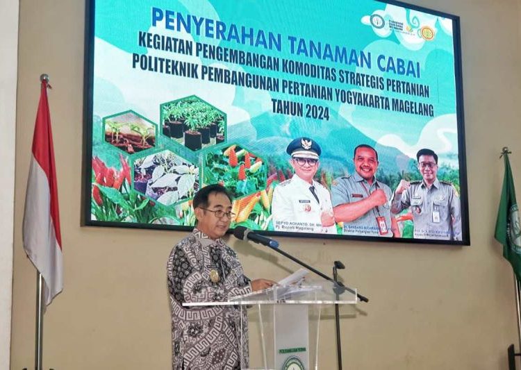 Penjabat Bupati Magelang serahkan 15.000 tanaman cabai 1 Penjabat Bupati Magelang serahkan 15.000 tanaman cabai