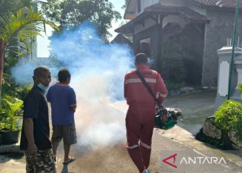 Peningkatan kasus DB di Klaten jadi perhatian pemerintah