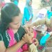 Pemkab Batang sasar empat ribu anak di PIN polio kedua