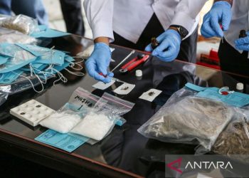 BNNP Jateng musnahkan barang bukti 4,6 kilogram ganja 3 BNNP Jateng musnahkan barang bukti 4,6 kilogram ganja