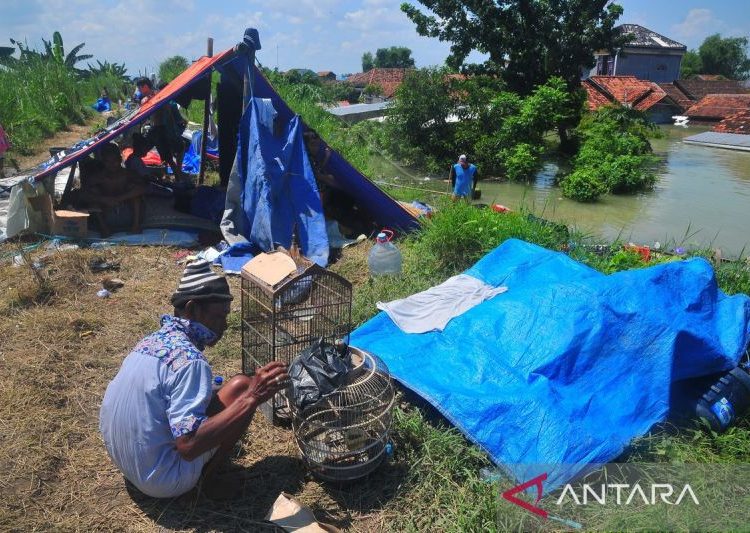 Warga korban banjir mengungsi di tanggul sungai 1 Warga korban banjir mengungsi di tanggul sungai