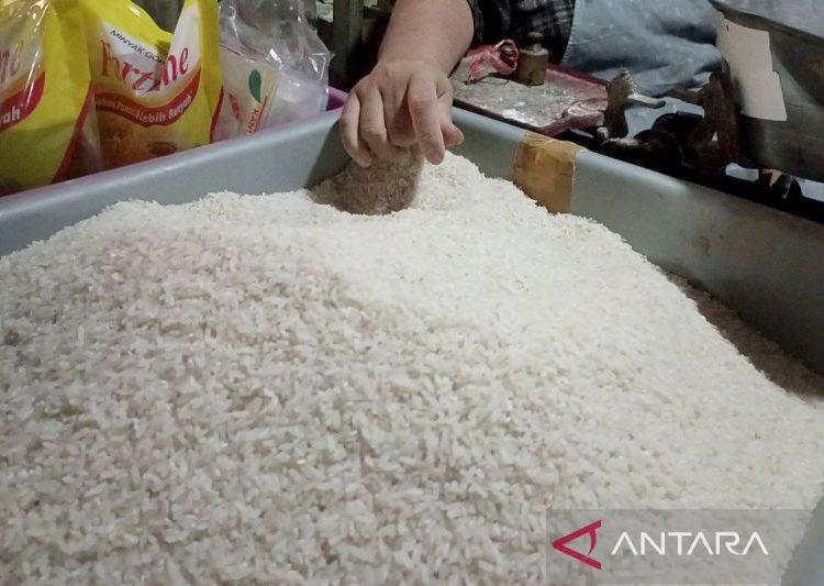 Pemkab Cilacap lakukan sejumlah upaya atasi kenaikan harga beras 1 Pemkab Cilacap lakukan sejumlah upaya atasi kenaikan harga beras