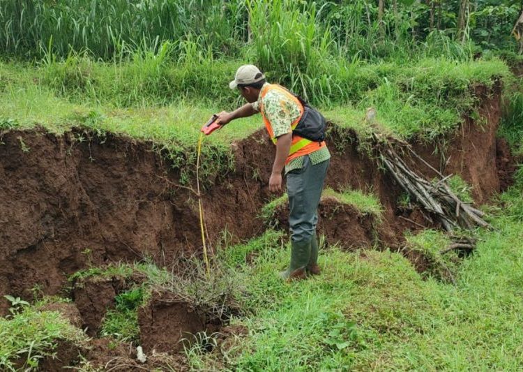 Temanggung laporkan tanah bergerak di Kandangan ke Badan Geologi