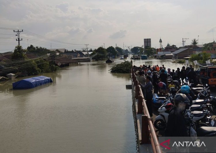 Banjir Demak, jalur Demak - Kudus masih terputus 1 Banjir Demak, jalur Demak – Kudus masih terputus
