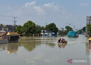Belasan kendaraan masih terendam banjir di Jalan Pantura Demak