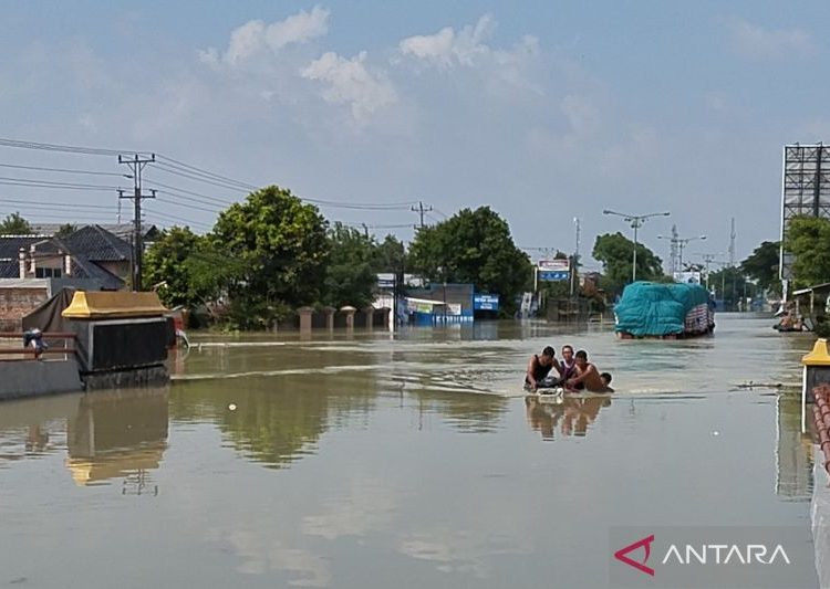 Belasan kendaraan masih terendam banjir di Jalan Pantura Demak 1 Belasan kendaraan masih terendam banjir di Jalan Pantura Demak