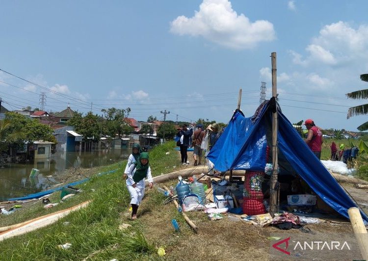 KPU: Warga Demak kehilangan KTP akibat banjir perlu dibuatkan KTP baru 1 KPU: Warga Demak kehilangan KTP akibat banjir perlu dibuatkan KTP baru