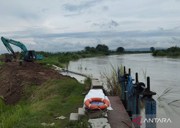 Tanggul Sungai Wulan-Jratun jebol akibatkan banjir di Demak meluas 1 Tanggul Sungai Wulan-Jratun jebol akibatkan banjir di Demak meluas