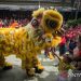 Atraksi barongsai menyambut Imlek – Foto Warga Berita Jateng