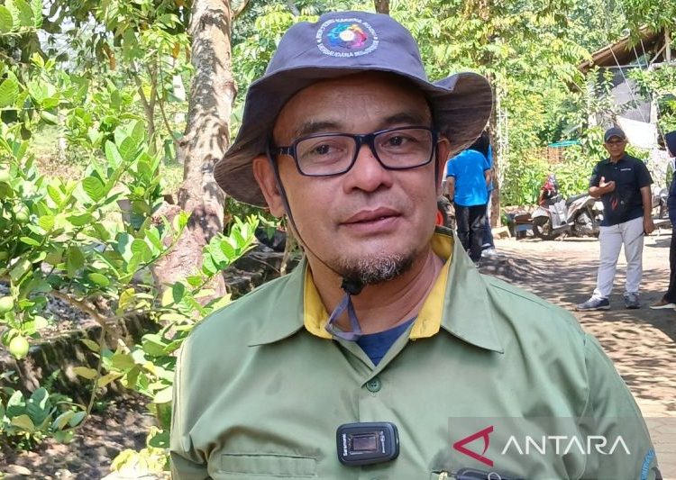 Rektor Untidar: Proses demokrasi sudah berjalan, mari tetap bersatu 1 Rektor Untidar: Proses demokrasi sudah berjalan, mari tetap bersatu