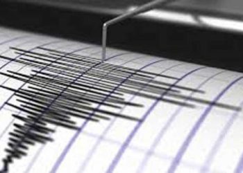 Gempa M 5.0 di Gunungkidul, Getarannya Sampai Wonogiri, Trenggalek dan Pacitan » Warga Berita
