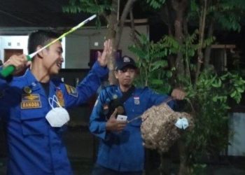 Damkar Kota Yogya Sudah Gulirkan 117 OTT hingga Februari 2024, Ini Sasarannya » Warga Berita