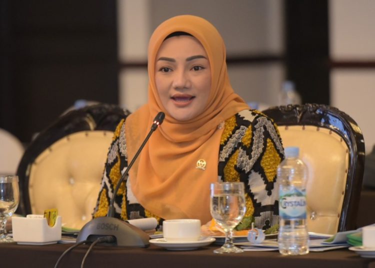 Adde Rosi Ingatkan Hakim Pengadilan Agama di Banten Tak Permudah Putusan Cerai – Warga Berita