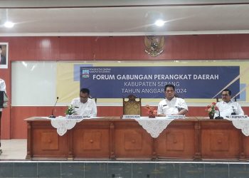 Jadi Tahun Terakhir, Pemkab Serang Pastikan Target RPJMD Tercapai – Warga Berita