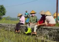 Bantah Mentan Amran, Luluk Nur Hamidah: Kenaikan Harga Beras Justru Rugikan Petani