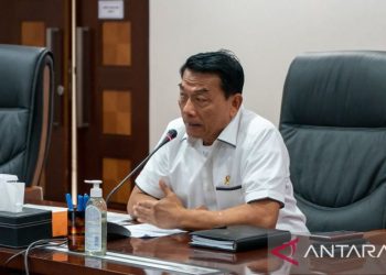 Moeldoko: Ada masalah distribusi dan tata kelola beras di ritel modern