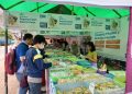 BRI Regional Office Jakarta 3 Gelar Pasar Ramadan di 23 Tempat – Warga Berita