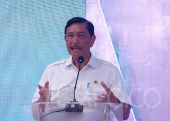 Luhut Diminta Presiden Jokowi Koordinasikan Investasi Apple di IKN » Warga Berita 3 Luhut Diminta Presiden Jokowi Koordinasikan Investasi Apple di IKN » Warga Berita