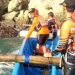 Terpeleset di Tebing Pantai Setinggi 50 Meter, Pencari Lobster di Gunungkidul Ini Tewas » Warga Berita 9 Terpeleset di Tebing Pantai Setinggi 50 Meter, Pencari Lobster di Gunungkidul Ini Tewas » Warga Berita