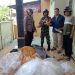 Polisi Sita Petasan dan Balon Udara di Buaran