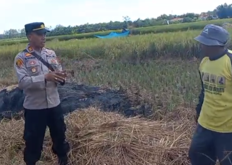 Kapolsek Losari Himbau Petani Agar Tidak Membakar Jerami Dekat Jalan Tol