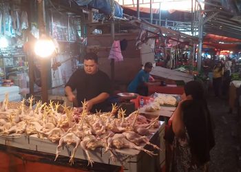Kabar Gembira, Harga Daging Ayam Potong di Pasar Badak Pandeglang Kembali Normal – Warga Berita