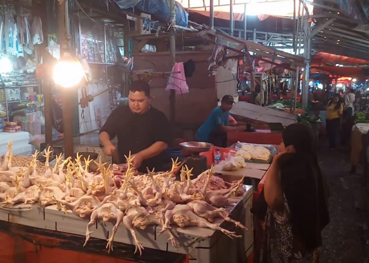 Kabar Gembira, Harga Daging Ayam Potong di Pasar Badak Pandeglang Kembali Normal – Warga Berita 1 Kabar Gembira, Harga Daging Ayam Potong di Pasar Badak Pandeglang Kembali Normal – Warga Berita