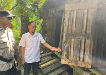 Nahas, Warga Kulonprogo Ini Kehilangan 7 Kambingnya Sekaligus » Warga Berita